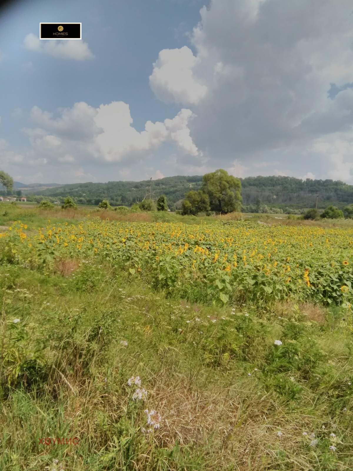 Land plot in Ковачевци, Pernik - Image 10