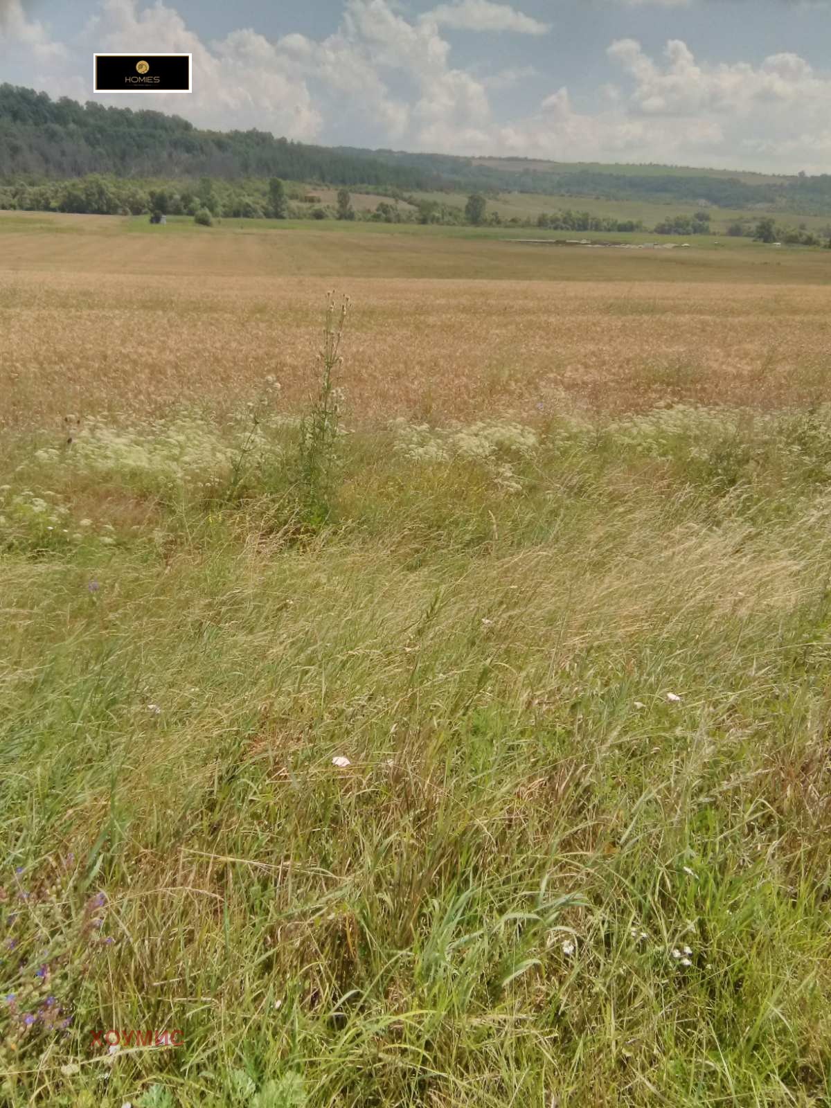 Land plot in Ковачевци, Pernik - Image 11