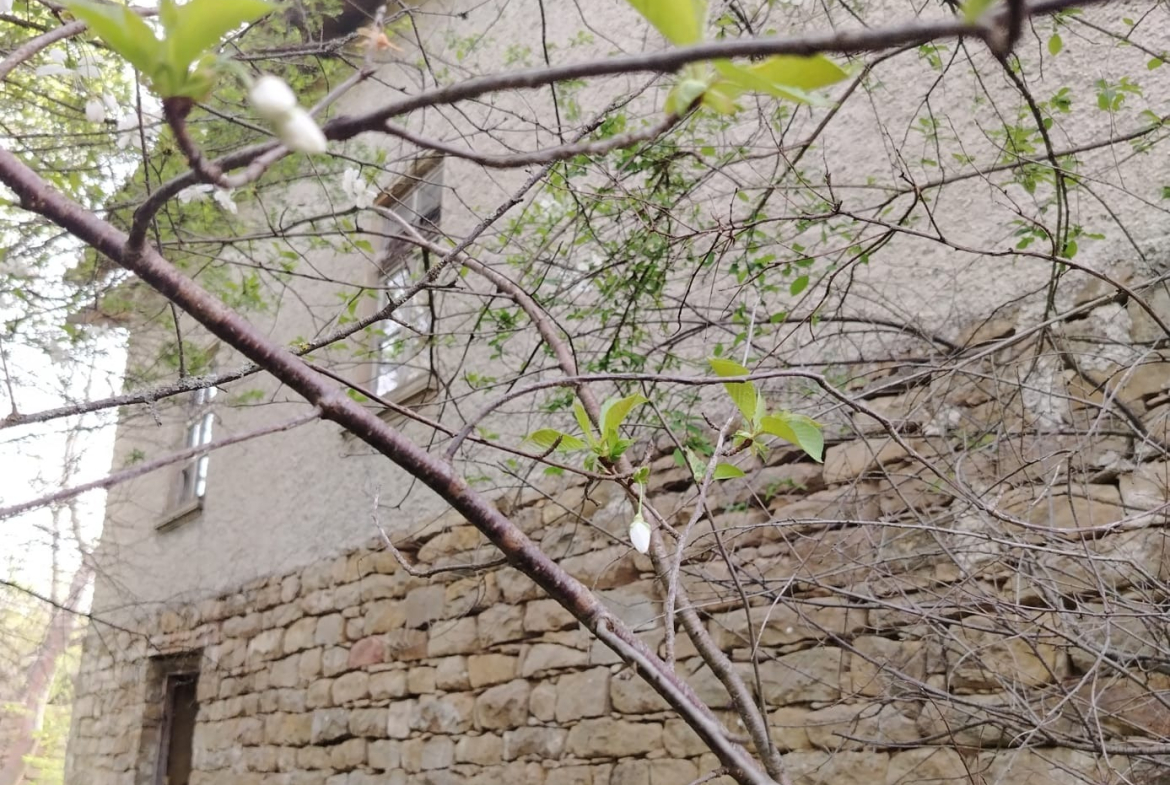 House in Долец, Targovishte - Image 6