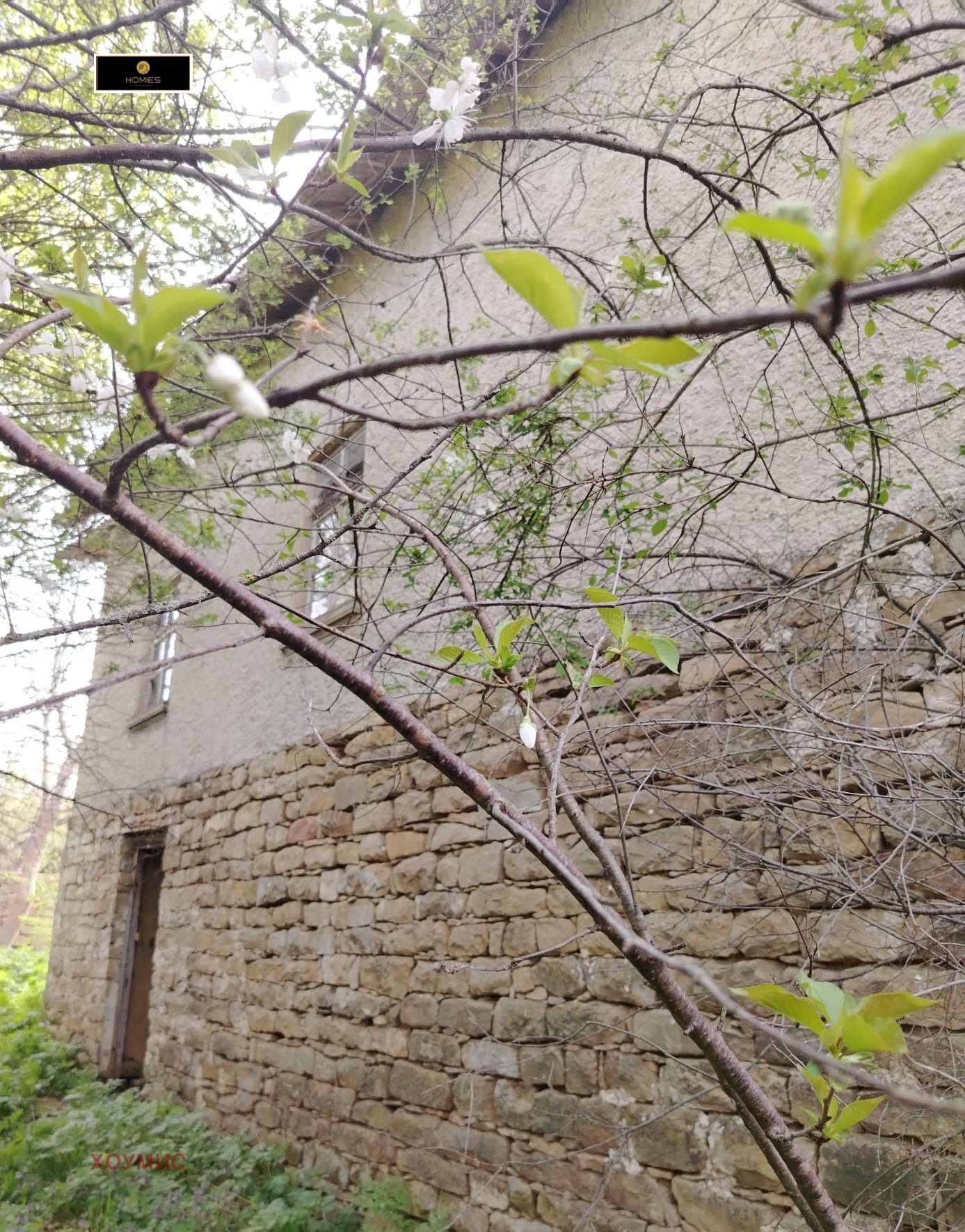 House in Долец, Targovishte - Image 20