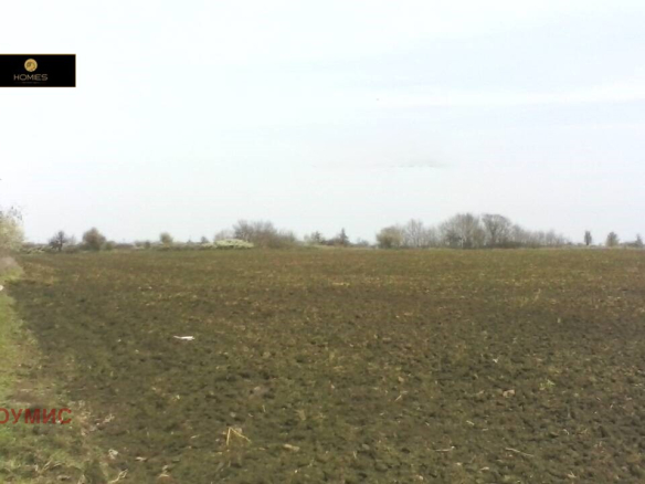 Large agricultural field plot with development potential