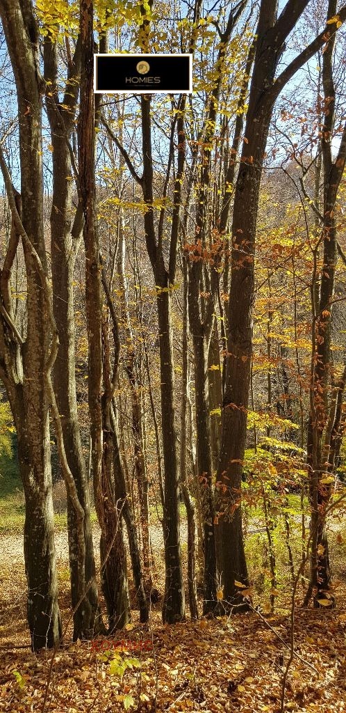 Land plot in Априлци, Lovech - Image 30