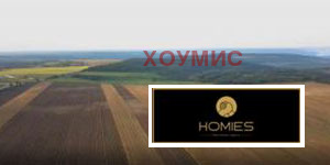 Land plot in Климентово, Varna - Image 3