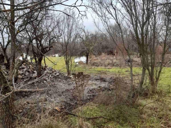 Селска земя с голи дървета и зелена трава