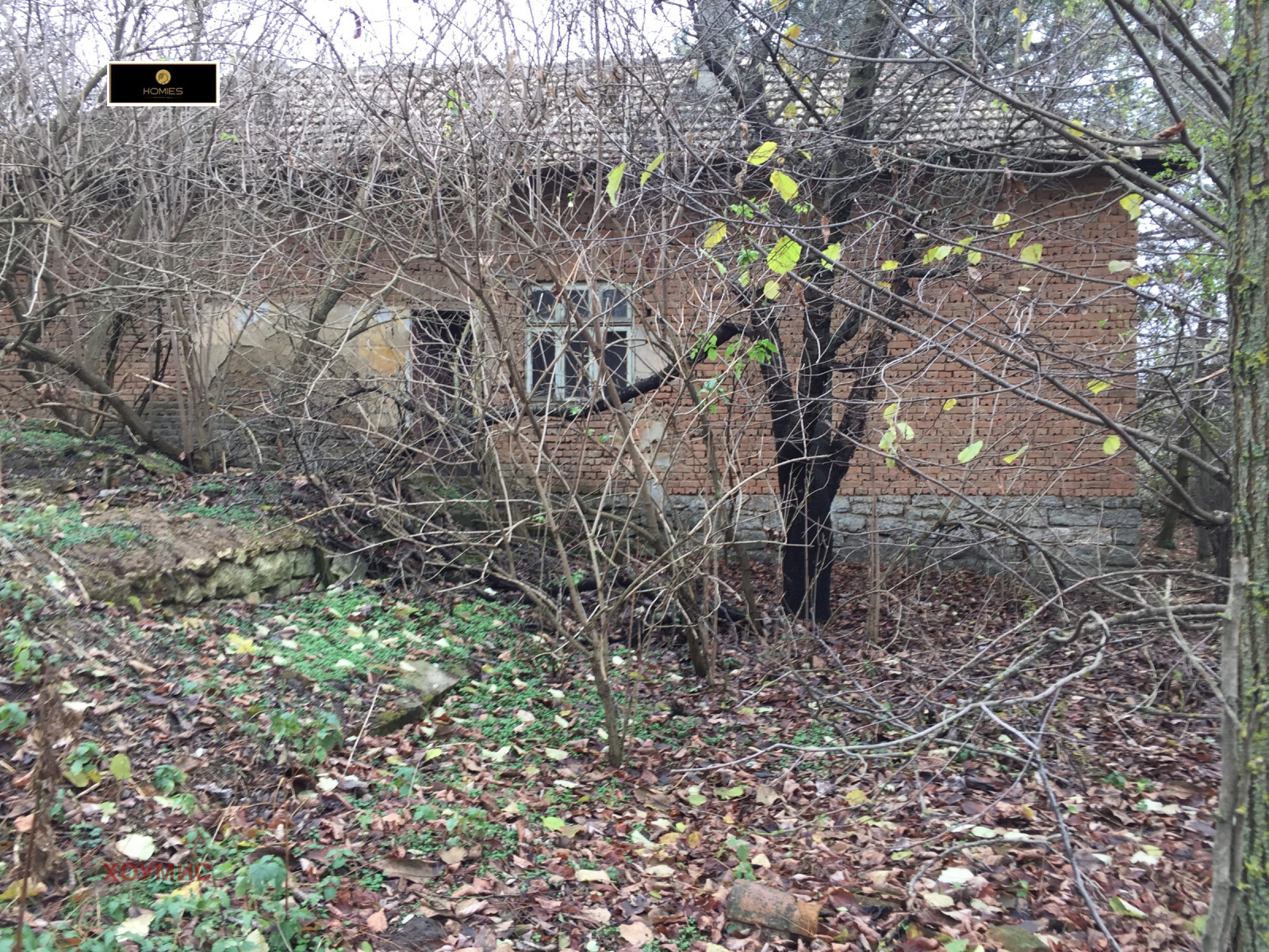 kashta-50-sqm-prodava-krasen-dobrich-dva-imota-4622-1 Тухлена къща заобиколена от гол растителност и клони