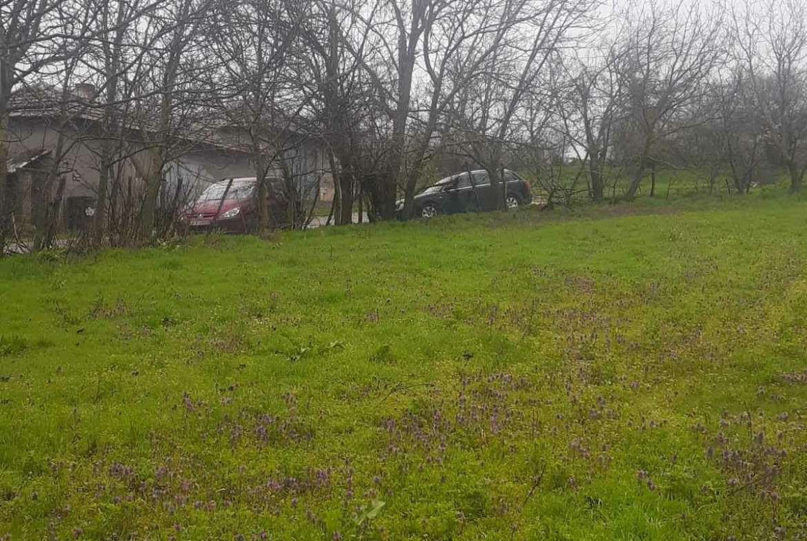 Large land plot with green grass and bare trees