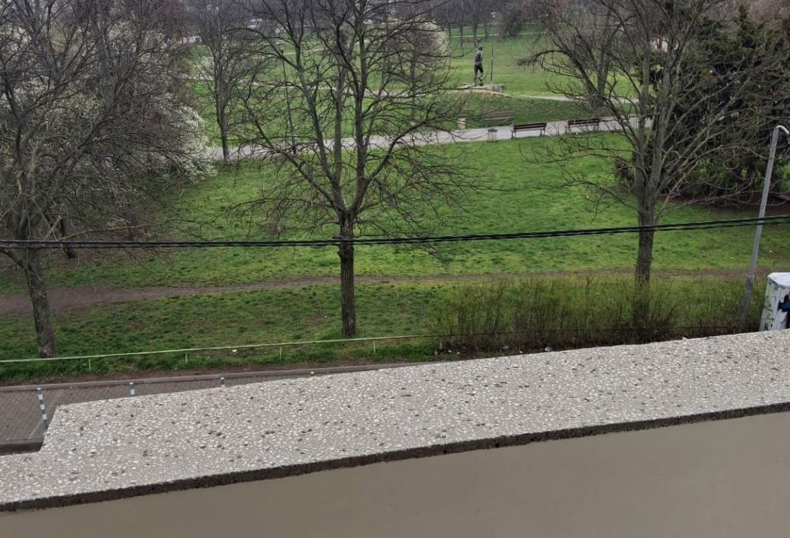Балкон с гледка към зелен парк и природа