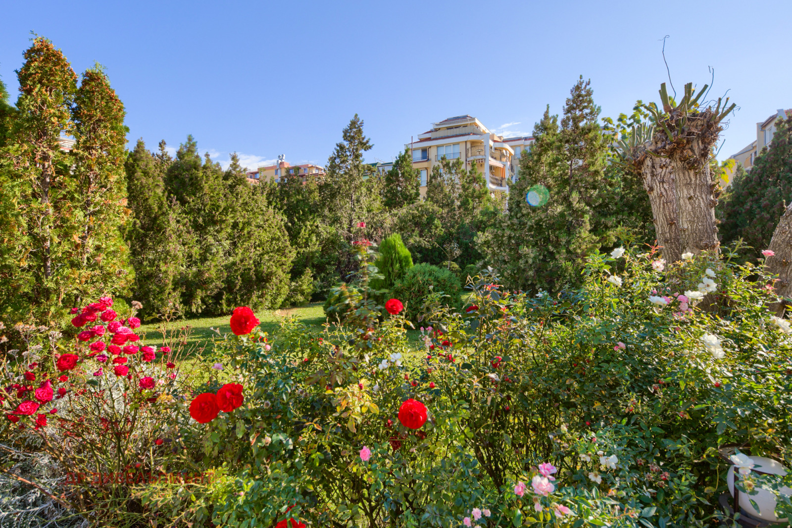 Apartment in Sun Wave Complex, Sveti Vlas - Image 27