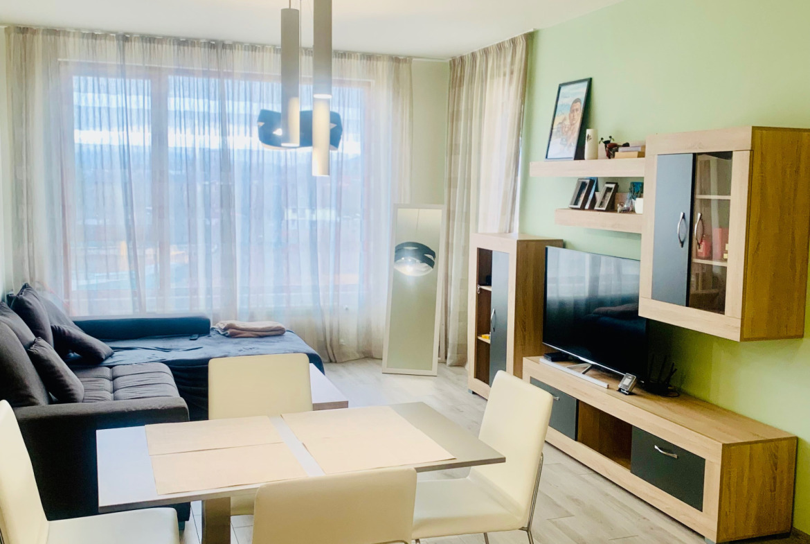 Modern living room with sofa and television