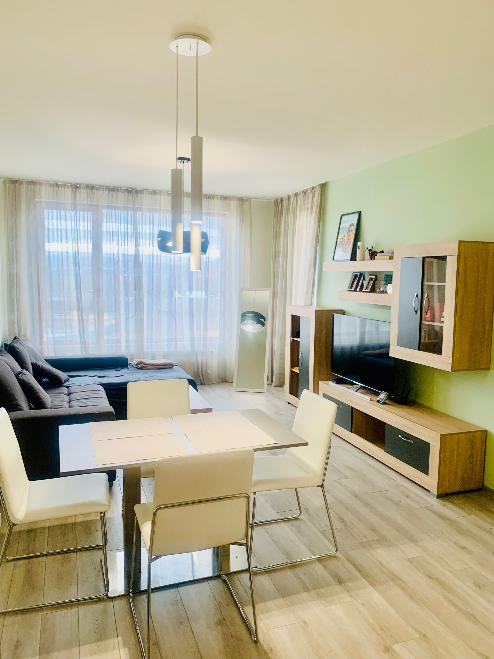 Modern living room with sofa and television