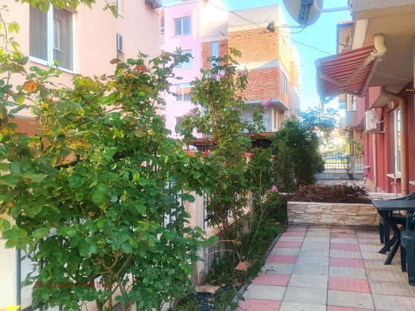Interior courtyard with green plants pink buildings