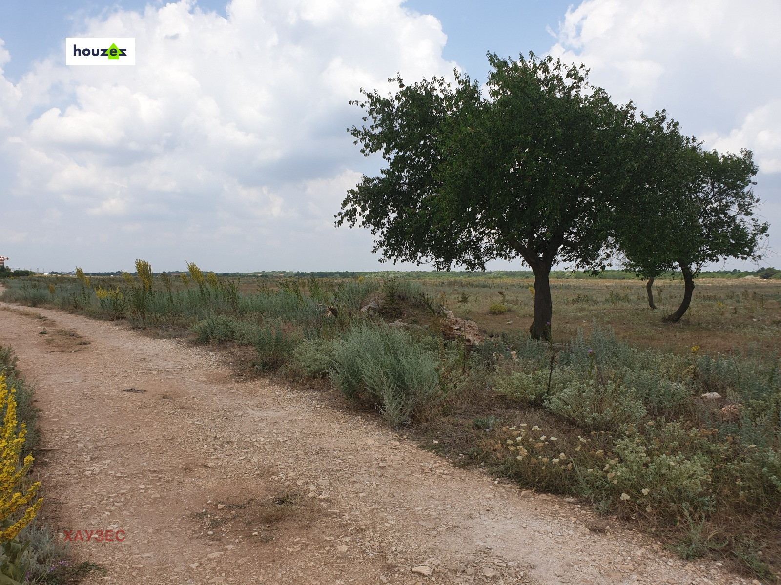 Land plot in Bozhurets - Image 12
