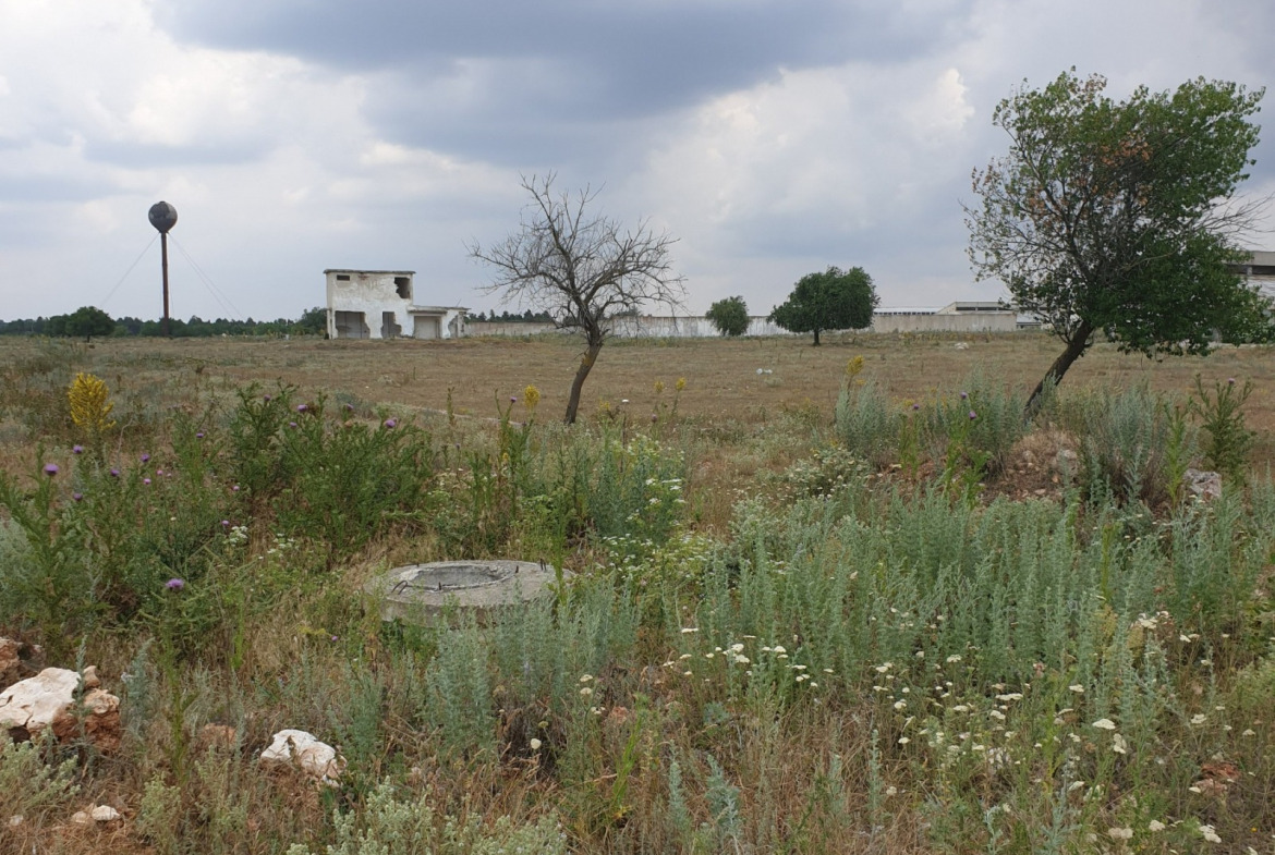 Land plot in Bozhurets - Image 5