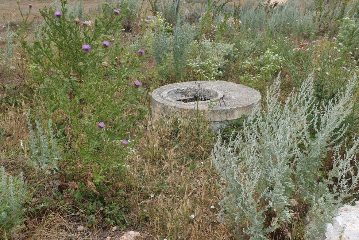 Land plot in Bozhurets - Image 6