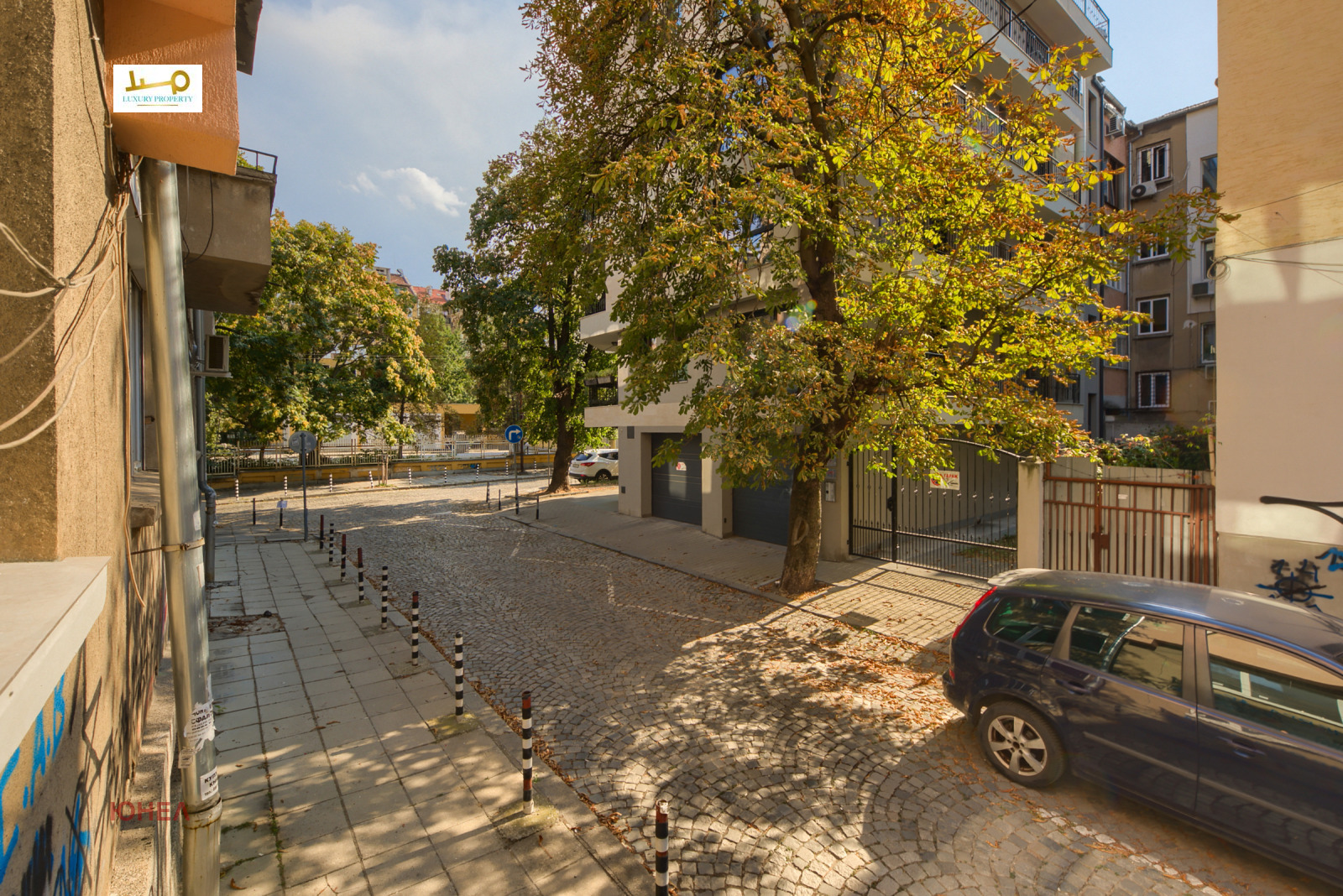 Cobblestone street with parked cars and large trees