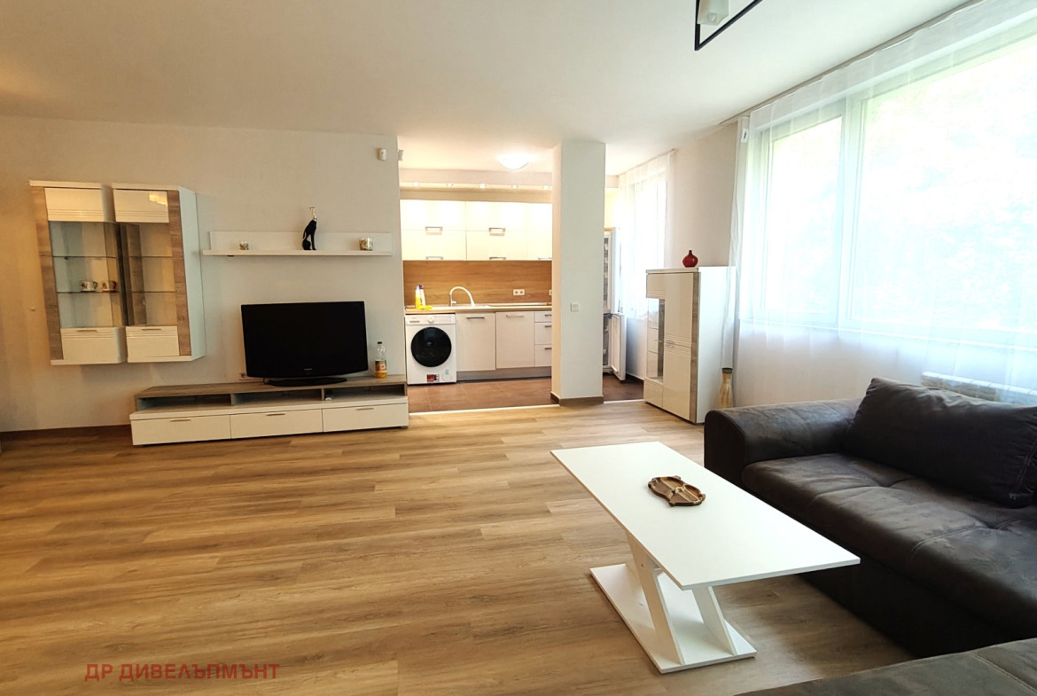 Spacious living room with kitchen and dark sofa
