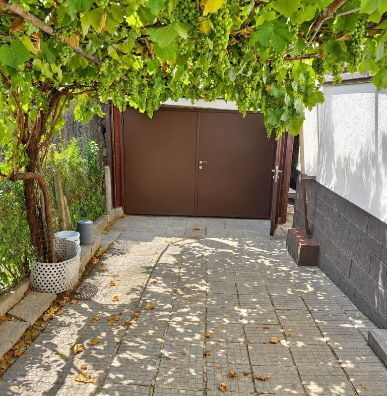 Courtyard entrance with brown metal gate, grapevine pergola, and paved stone floor