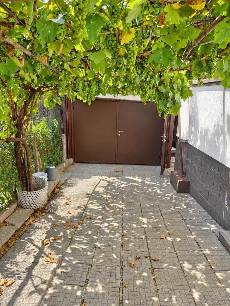 Courtyard entrance with brown metal gate, grapevine pergola, and paved stone floor
