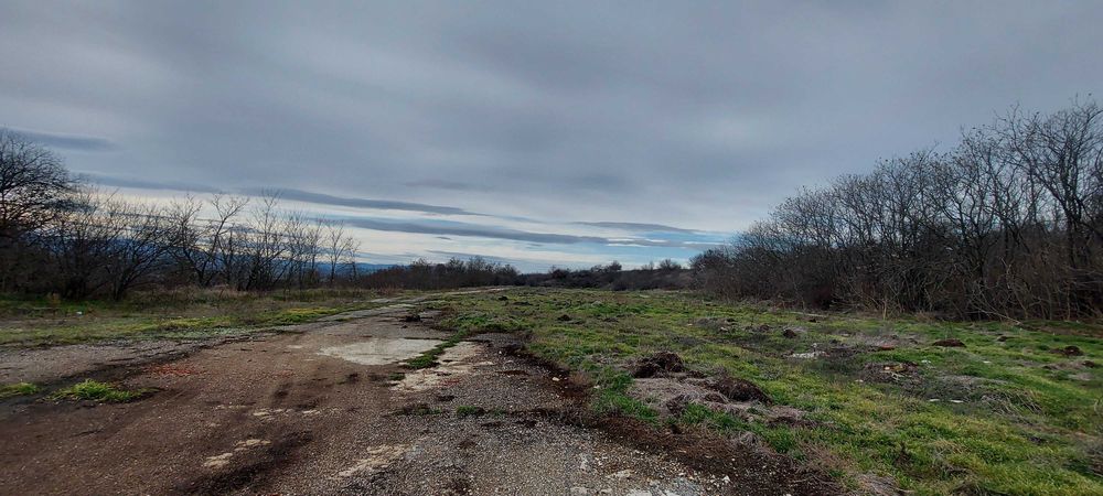 parcel-15000-sqm-prodazhba-vidin-do-magistrala-3 Равна земеделска парцела с дървета и влажна почва