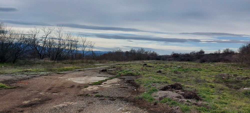 parcel-15000-sqm-prodazhba-vidin-do-magistrala-4 Панорамен изглед на открита земя с редки дървета