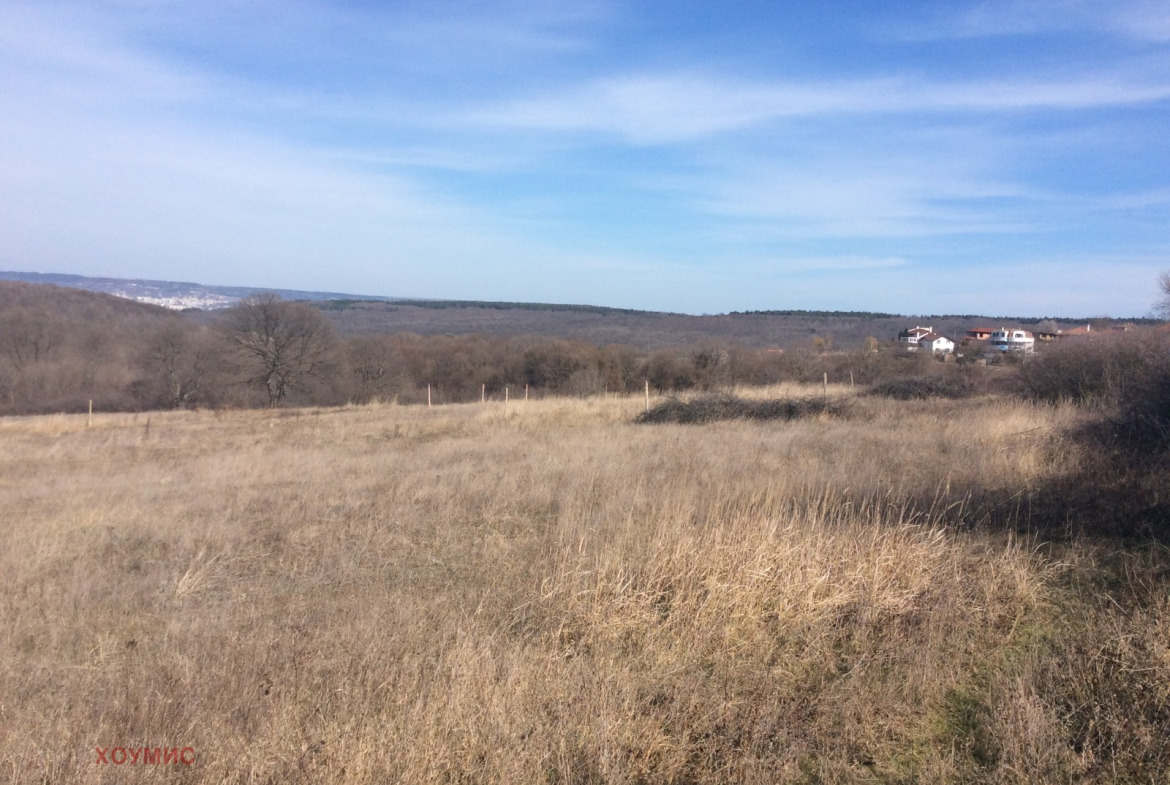 Land plot in Zvezditsa with dry grassland and distant houses