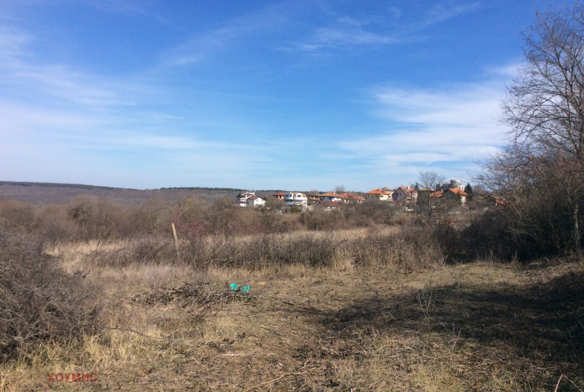 Open land plot with dry grass, bare shrubs, and village in background