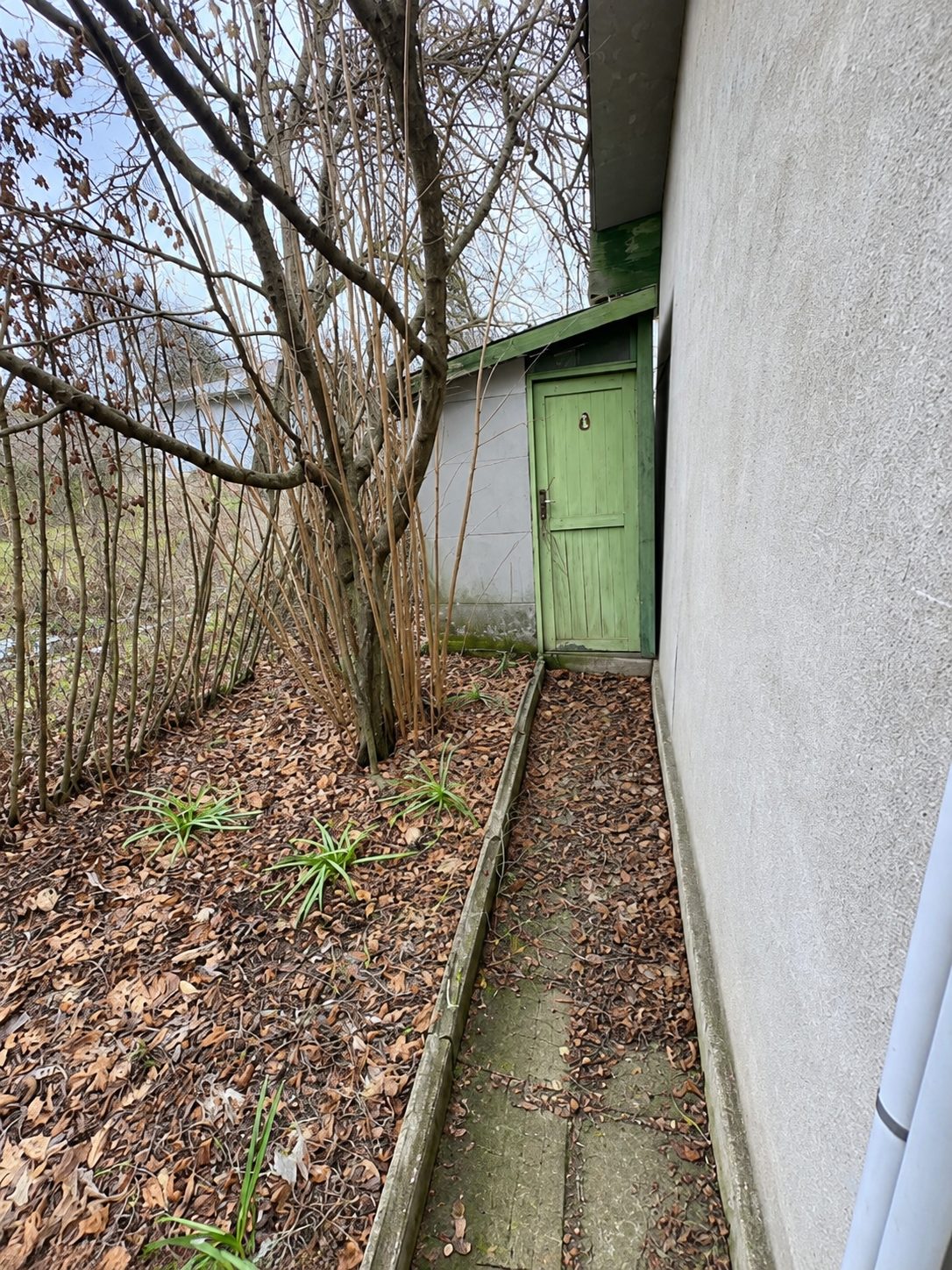 Rubber hose and rusted metal structures in garden