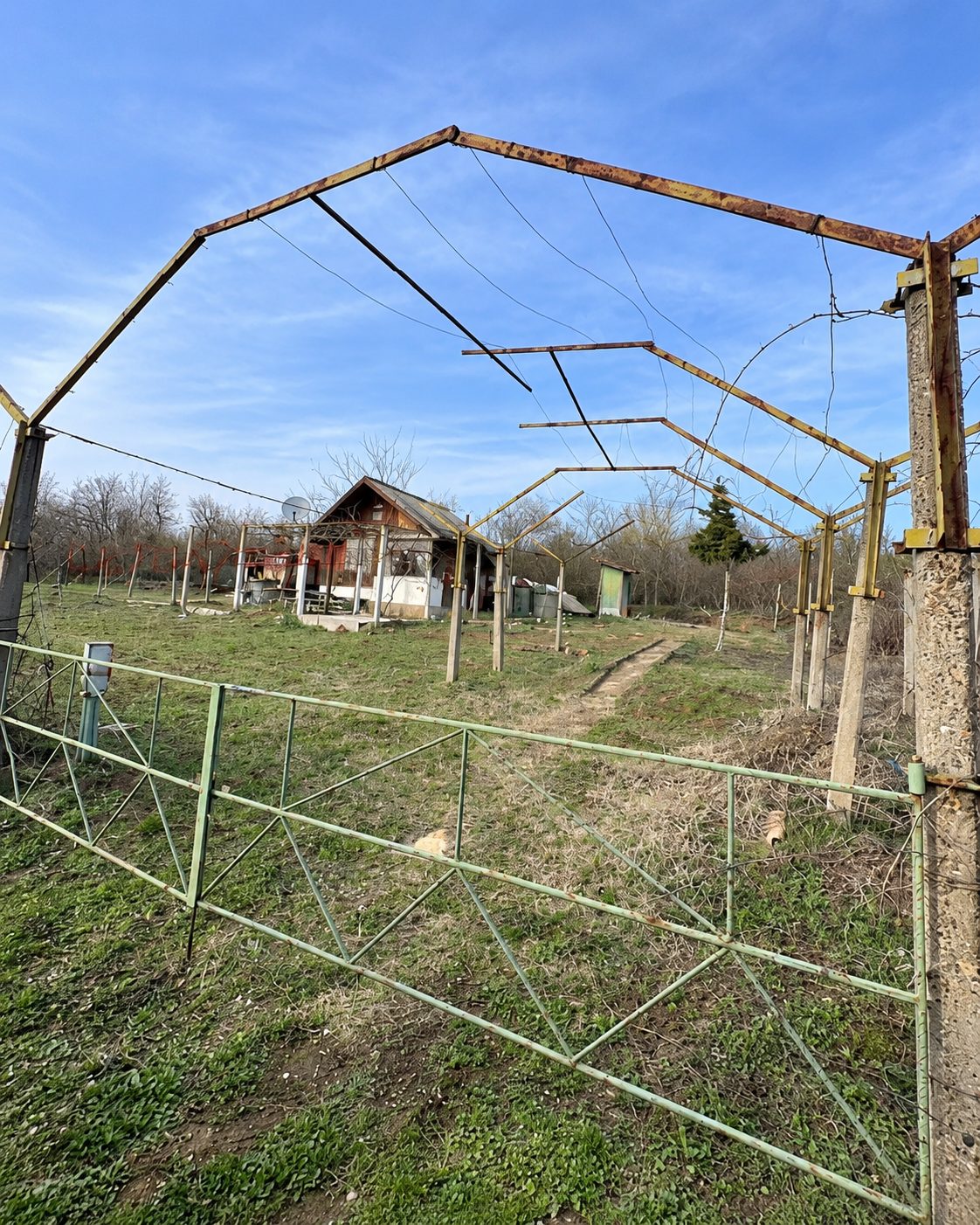 Metal framework structure and green field vegetation