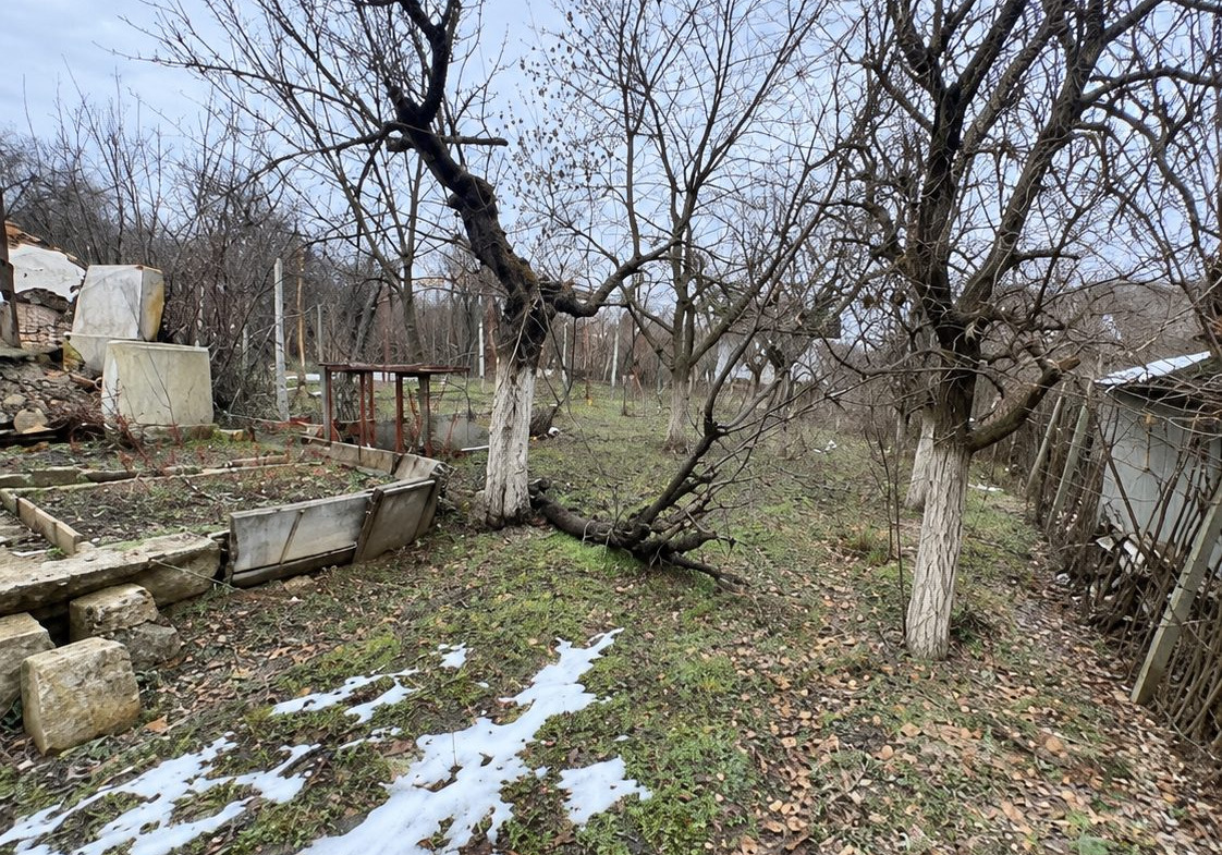 Young fruit trees orchard with metal fencing