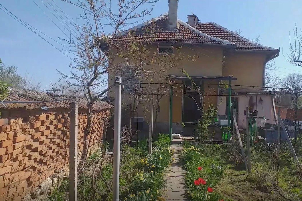 Екстериор на двуетажна жълта къща с голи пролетни дървета и лалета в градината